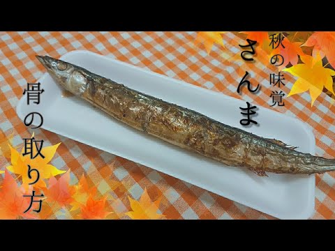 秋の味覚 さんまの骨の取り方 Youtube