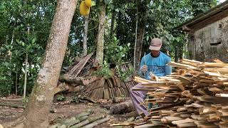 TRADITIONAL REVOLUTION: HOW LOCAL FARMERS MAKE THOUSANDS OF BAMBOO AJIR EFFORTLESSLY! - Agriculture