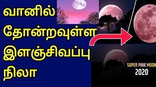 Super Pink Moon 2020 | JAFFNA TAMIL TV | Tamil Channel