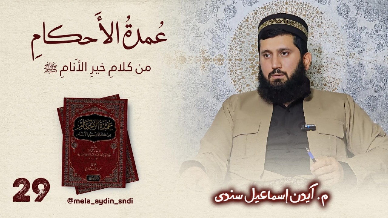 وانا ۲۹ : عمدة الأحكام