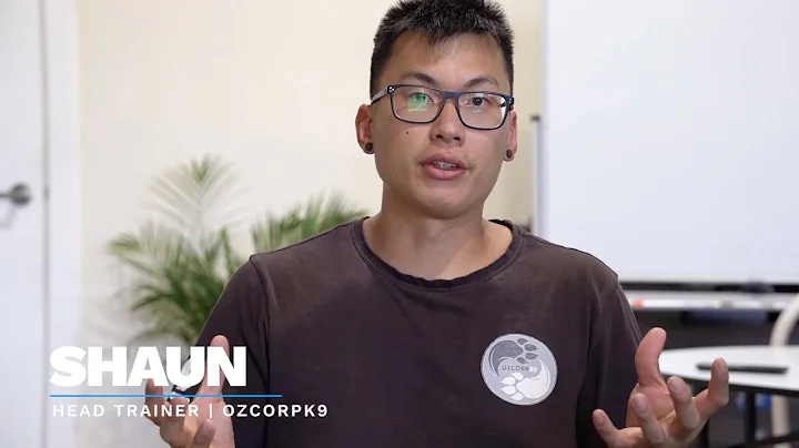 OZDOG Obedience Program | CHAOS Lesson 3