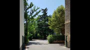 Mutable Instruments + Behringer/ARP 2500 (n° 4)