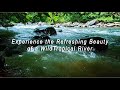 Experience the Refreshing Beauty of a Wild Tropical River