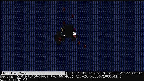 Concise Nethack: Plane of Water