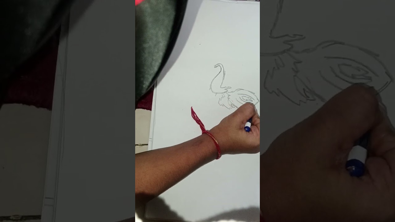 National bird peacock drawing