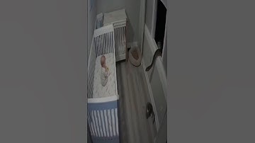 This Cat Became a Hero 💀 #shorts #cat