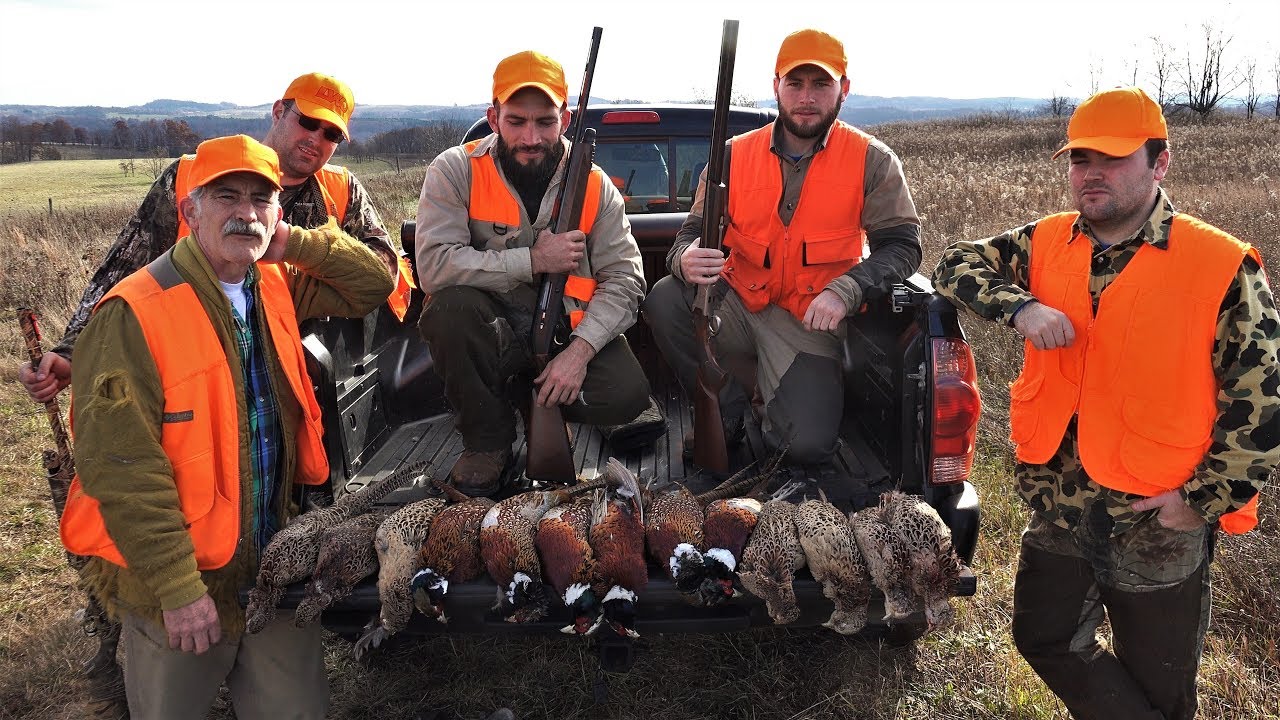 Pheasant Hunting 2017 Pennsylvania Upland Birds Youtube