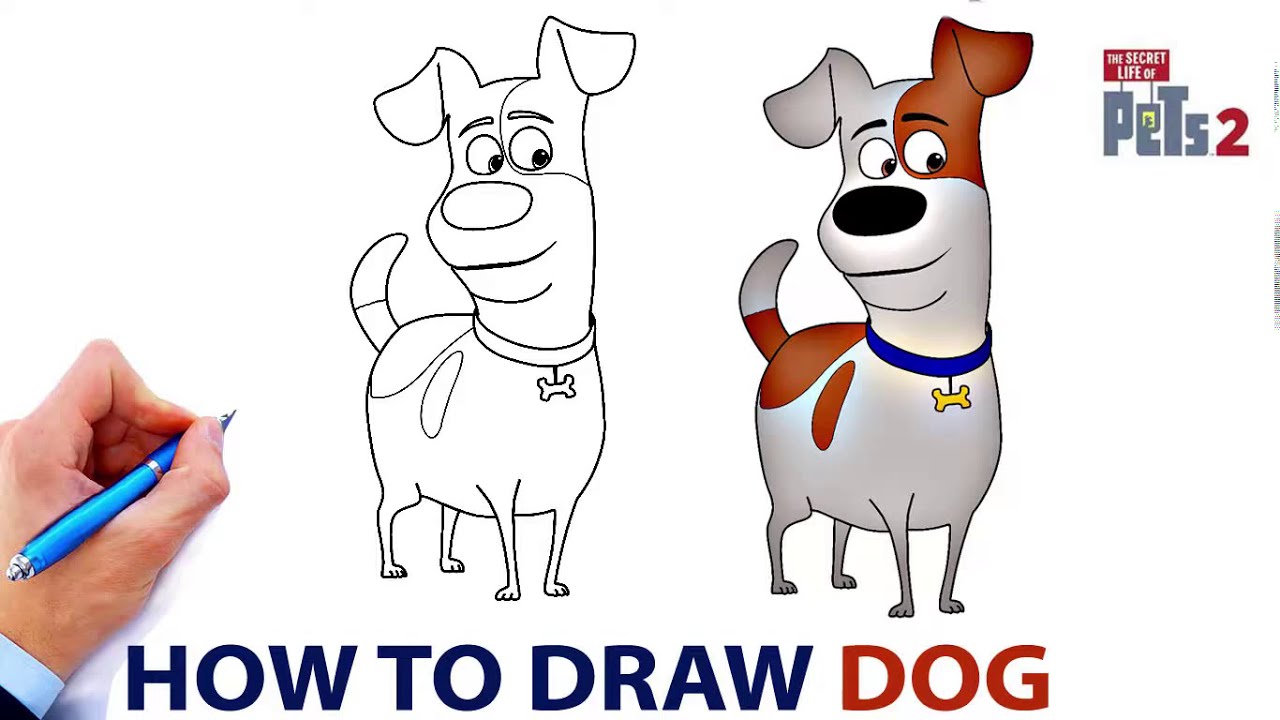 The Secret Life Of Pets 2 / How To Draw Max - YouTube