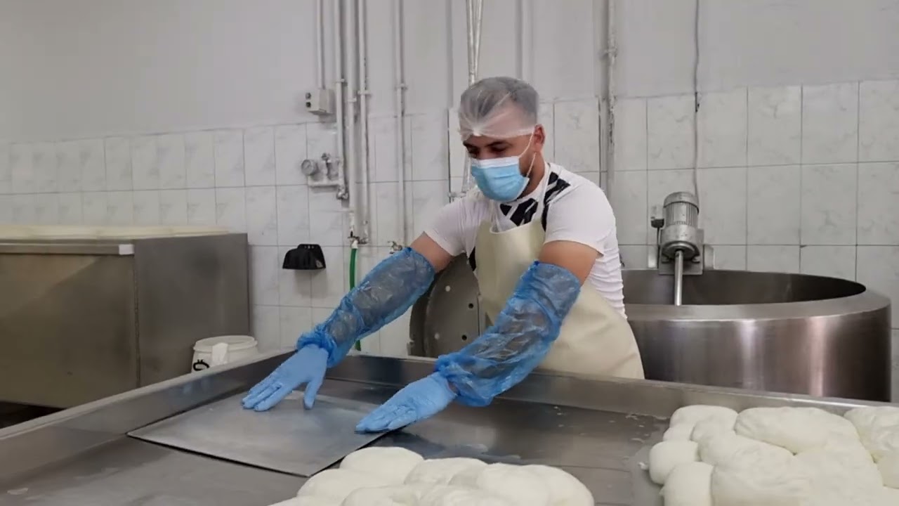 اسهل وأفضل طريقة لعمل جبنة العكاوي تشيكي في حليب البقر الطازج #طبيعي  #حليب #مزرعة #لبنان #مصنع_حدث