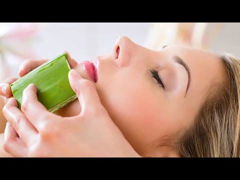 15 usi sorprendenti l&rsquo;aloe vera. I benefici per la salute e la bellezza