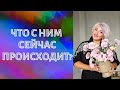 ЧТО С НИМ СЕЙЧАС ПРОИСХОДИТ?