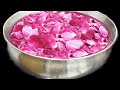 दो प्रकार से गुलाब जल बनाने का तरीका || How To Make Rose Water। Anti-wrinkle/Pimple Toner at home