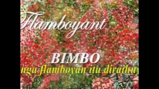 FLAMBOYANT, Bimbo