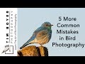 5 More - Common Bird Photography Mistakes