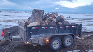 more wood hauling