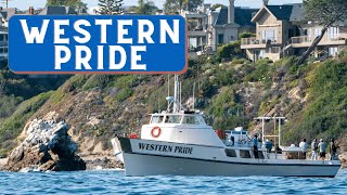 Western Pride Sportfishing Charter Walk Through | Newport Beach Sportfishing | Southern CA