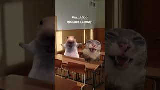 отправляй своему бро!  #онлайншкола  #мем  #школа  #экзамены  #юмор