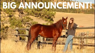 An Unexpected Change For Ranching With Rebekah