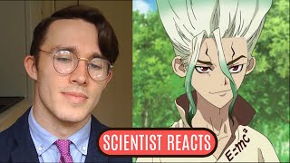 Scientist REACTS to Dr. Stone