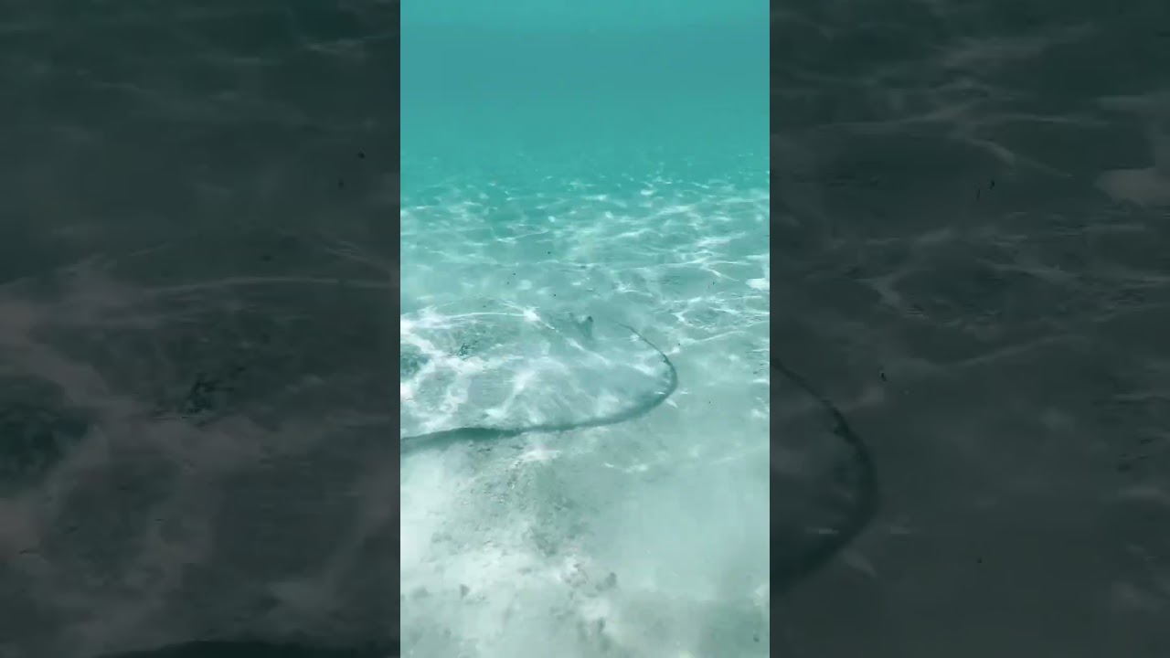 Just below the surface 