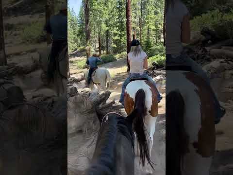 Horseback, Zephyr Cove
