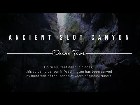 Vegas! Short! Golden Nugget!馃敟馃幇馃敟馃幇
