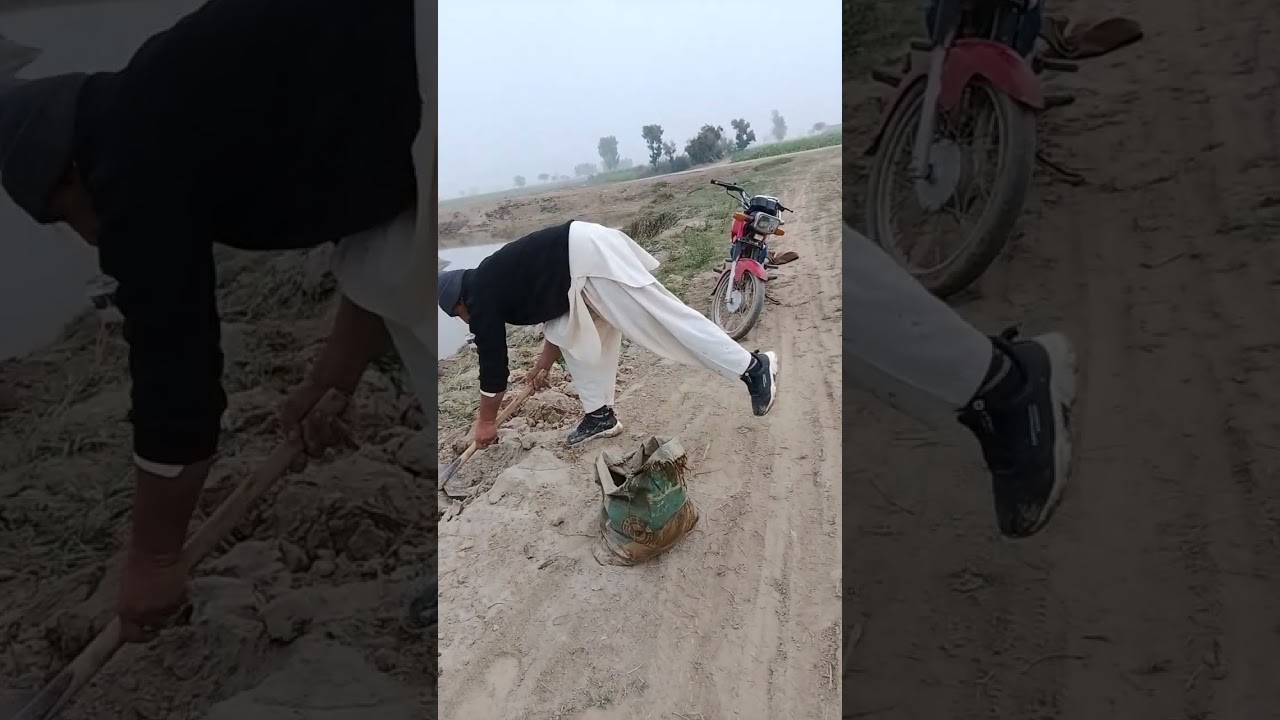 میں نے  دنیا میں دولت بہت دیکھی جو مزہ دل کی دولت کا ہے 