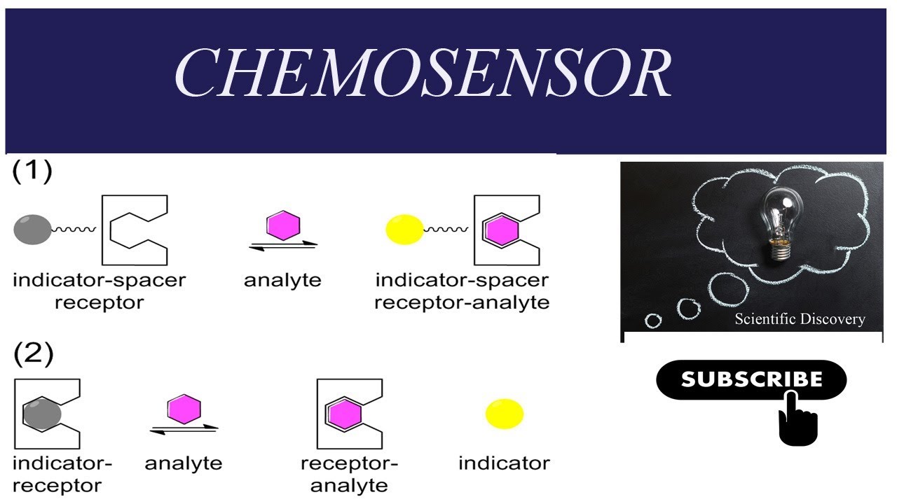 Chemosensors, Free Full-Text