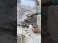 tall tiles #tiles #viralvideo #ghar #ghari #tiles #tiles #tiles tall tiles #tiles #viralvideo