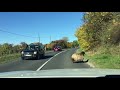 Driving in hungary tapolca  smeg suddenly a wild sheep appears and a view of smeg fortress