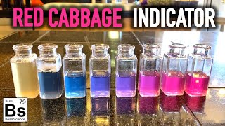 pH Indicator made from Red Cabbage - Acid / Base Science at Home