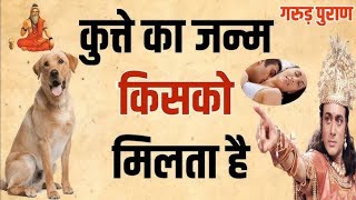 गरुड़ पुराण- किस कर्म के कारण कुत्ते की योनि में जन्म होता है?