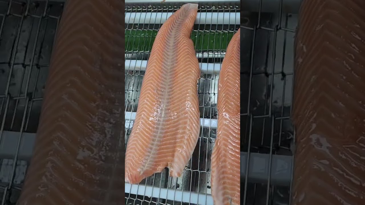 Fish Skinning Machine  