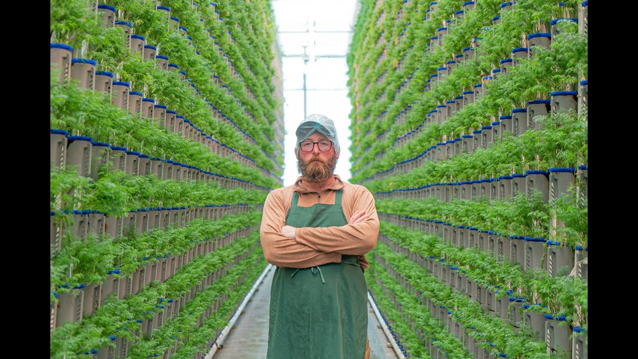 Eden Green x IIVO - ENG subtitles