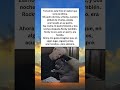 Marlin – Vom Verstoß zur ewigen Familie
