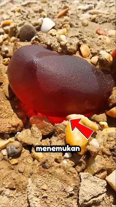 Kilau Merah yang Melebihi Emas #viral