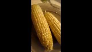 Shucking Corn Made EASY PEASY