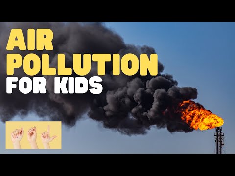 ⁣ASL Air Pollution for Kids: A Quick Intro