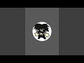 doing animations pt2