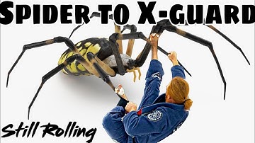 Spider Guard Transition to X-guard Sweep Brazilian Jiu-Jitsu Cleveland, TN Martial Arts