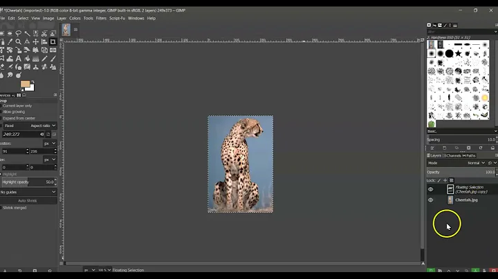 Copy/Paste to a Floating Layer