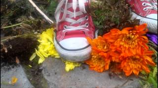 Red Converse Crushing Plants