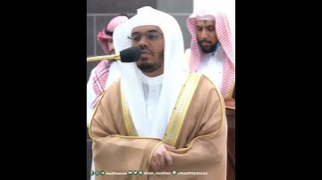 تلاوة هادئة لفضيلة الشيخ أ.د ياسر الدوسري من سورة عبس