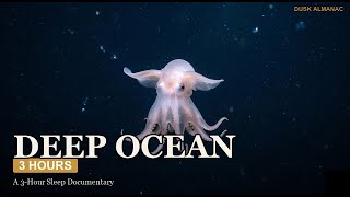 Fall Asleep to 3 Hours in the Deep Ocean | Sleep Documentary
