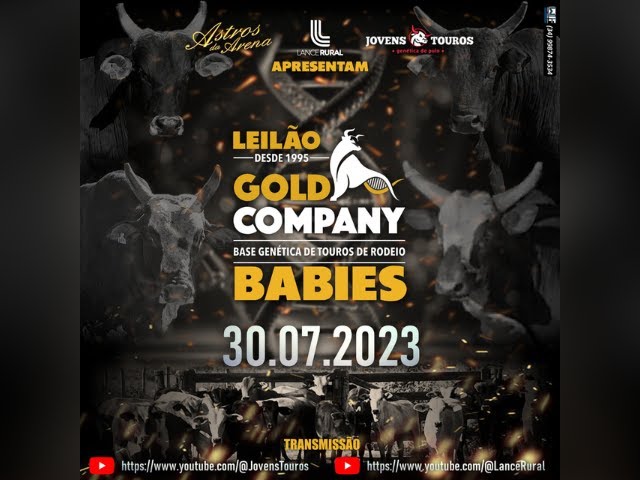 Leilão Gold Company Babies 