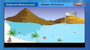 Natural resources | Class 9th CBSE Chemistry | NCERT | CBSE Syllabus | Animated Video