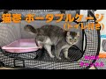 【猫壱 ポータブルケージ】遊ぶ・食べる・トイレをポータブルケージで出来るのか検証してみました。#猫壱 #ポータブルケージ #ポータブルトイレ