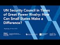 UN Security Council in Times of Great Power Rivalry: How Can Small States Make a Difference?