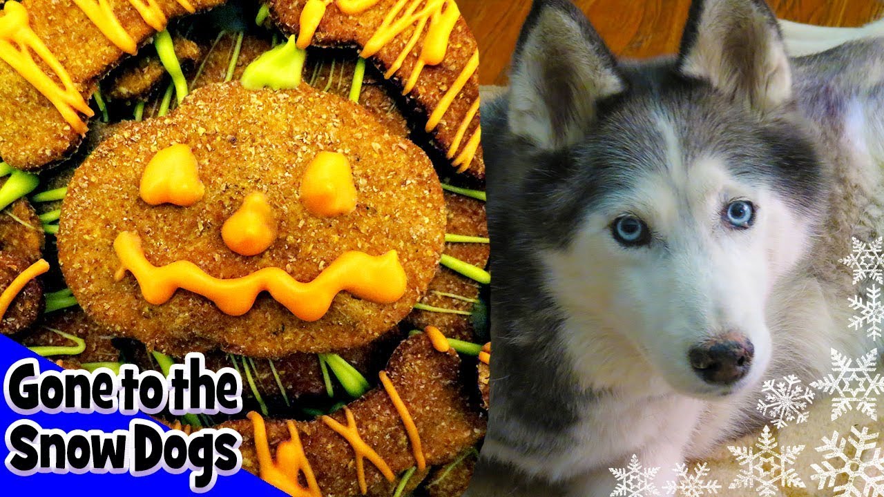 Erdnussbutter & Gelee Halloween-Hundehalstuch – Einheitsgröße, 100% Baumwolle, Für Zwei Hunde