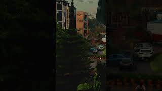 Apple ProRes Log - iPhone 17 Pro #prores #film #lut #apple #cinematic #nature